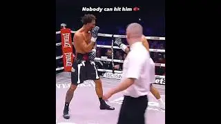 Новый тайсон