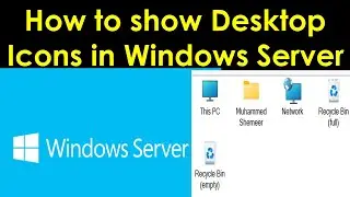 How to show Desktop Icons in Windows Server | How to Show Common Icons on Windows Server Desktop?