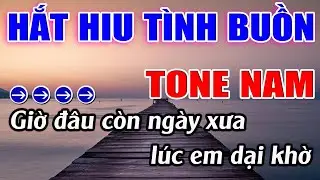 Hắt Hiu Tình Buồn Karaoke Tone Nam ( Am ) Karaoke Lâm Beat - Beat Mới