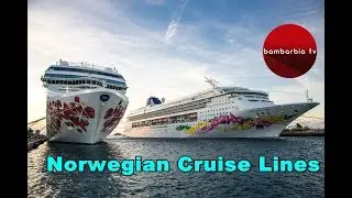 Инфлот Круиз (INFLOT CRUISE): круизная компания NCL – лайнеры, услуги и развлечения на борту