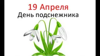 С Днём подснежника!🌾19 апреля-День подснежника. Праздник.