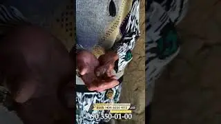 ODAMLAR SOTIB YUBORGAN ONA / ENG YAXSHI KO’RGAN OVQATIM “NON bilan SUV”...#shorts #shortvideo