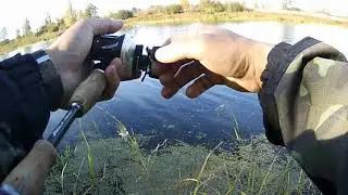 Закрыл сентябрь! Переходим в октябрь!!