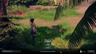 Lost Ark, Тотопия, весь диалог с Коко и правильные ответы.