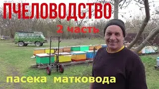 МАТКОВОДСТВО / Шурыгины Александр и Валентина / часть 2