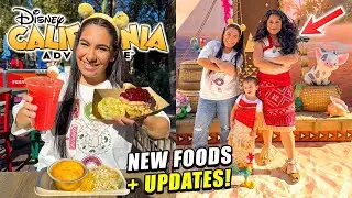 🥳 (AMAZING) NEW Disney California Adventure Park UPDATES! | Meeting Moana, New Foods, Merch + MORE!