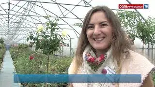 Мастер-класс  
