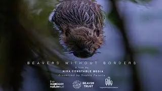 Beavers Without Borders: a short documentary