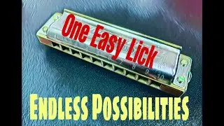 One Easy Lick ENDLESS Possibilities! (Phrasing) beginner/intermediate