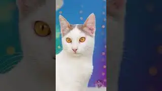 في المستشفى، أعطاني الطبيب اللطيف لعبة🥺👩‍⚕️🦄