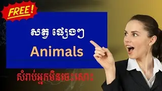 រៀនអង់គ្លេសកម្រិតមិនចេះសោះ ​៖ សត្វផ្សេងៗ​ (Animals)