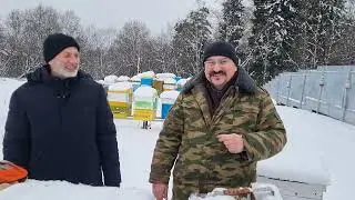 🔴 Температурные качели во время зимовки пчел на улице 2022. Пчеловедение и Владимир Жуков советуют 🔴