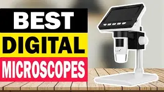 Top 10 Best Digital Microscopes in 2024