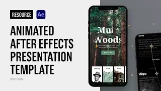 Resource - Animated After Effects Template for your work