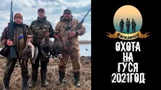 Охота на гуся. Весна 2021 года.