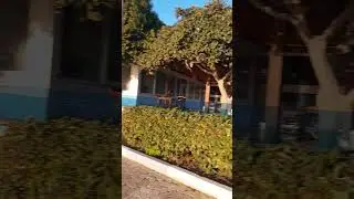 стеклянный забор и 🐕
