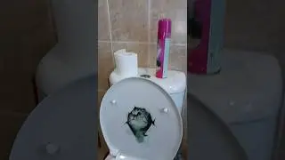 Эксперимент не удался!