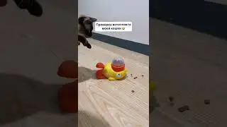 Артикул Яндекс маркет: YM10089698 алиэкспресс: ALI7746259
