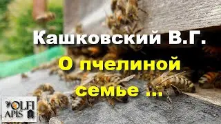 #Кашковский
