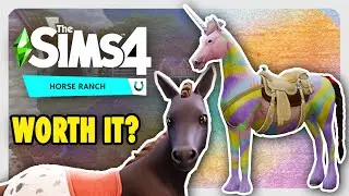 My Honest Review of Horse Ranch