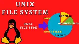 Unix File Type - 7 file types ( In full session)