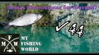 44) My Fishing World Пелядь обыкновенная без прилова!?