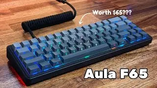 The Only Budget 65% Gaming Keyboard You Need | Best Budget Stock 65 Percent? | Aula F65 