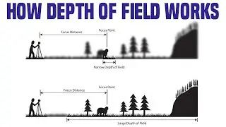 How Depth of Field Works in Photography