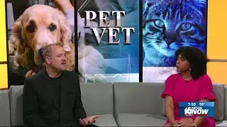 Pet Vet: Constipation and Megacolon