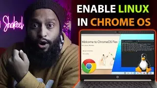 How To Enable Linux Into ChromeOS Flex & Install Linux Apps!