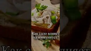 Как сало влияет на иммунитет?