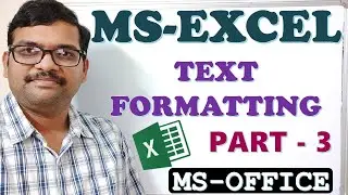 TEXT FORMATTING - MS EXCEL  PART - 3