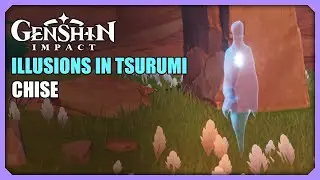 Chise | Illusions in Tsurumi | Puzzle | Genshin Impact