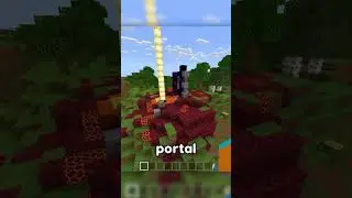 AMAZING SURVIVAL SEED FOR BEDROCK! 