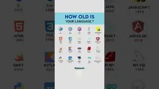 Birth Year 👨‍💻.  