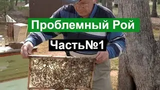 Пасека 