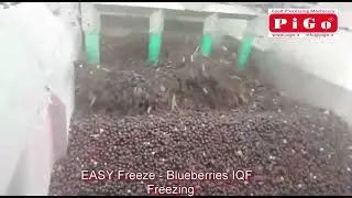 Линия флюидизационной заморозки ягод IQF EASY Freeze