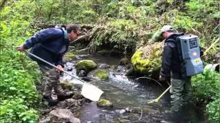 Multnomah County Fish Diversity and Distribution Study