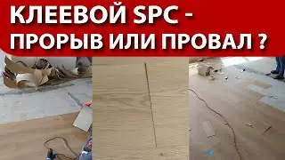 SPC плитка на клей - сюрприз за большие деньги