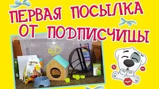 ПЕРВАЯ ПОСЫЛКА ОТ ПОДПИСЧИЦЫ | РАСПАКОВЫВАЕМ ПОСЫЛКУ | ПОДАРКИ ВИНТИКУ | #ХОМЯКИ ❤