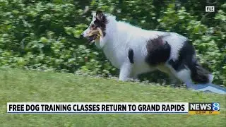 Free dog training classes return to Grand Rapids