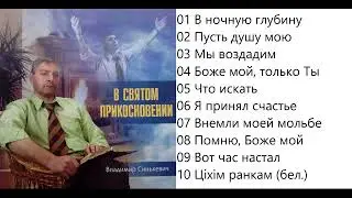 Владимир Синькевич В святом прикосновении