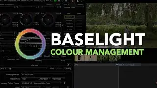 Beginner Baselight Tutorial 1.2 - Colour Management