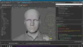 Transfer Metahuman Rig to any face (Maya)