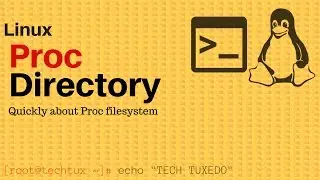 Proc Directory(proc filesystem)