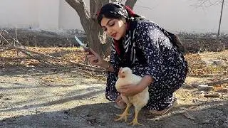 Chicken Slaughtered by an Iranian Girl | A Delicious Dish Made with My Own Hand-Slaughtered Chicken