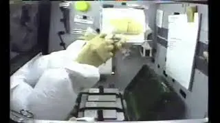 Half Life frog zero G
