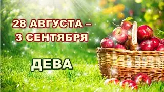 ♍ ДЕВА. 🍎 С 28 АВГУСТА по 3 СЕНТЯБРЯ 2023 г. 🍏 Таро-прогноз 🌟