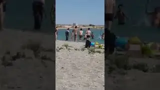 Отдыхающие забили тюленя палками и камнями ради фотоснимка в Мангистау