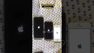 iPhone 14 pro max vs iPhone 8 vs iPhone se 2016